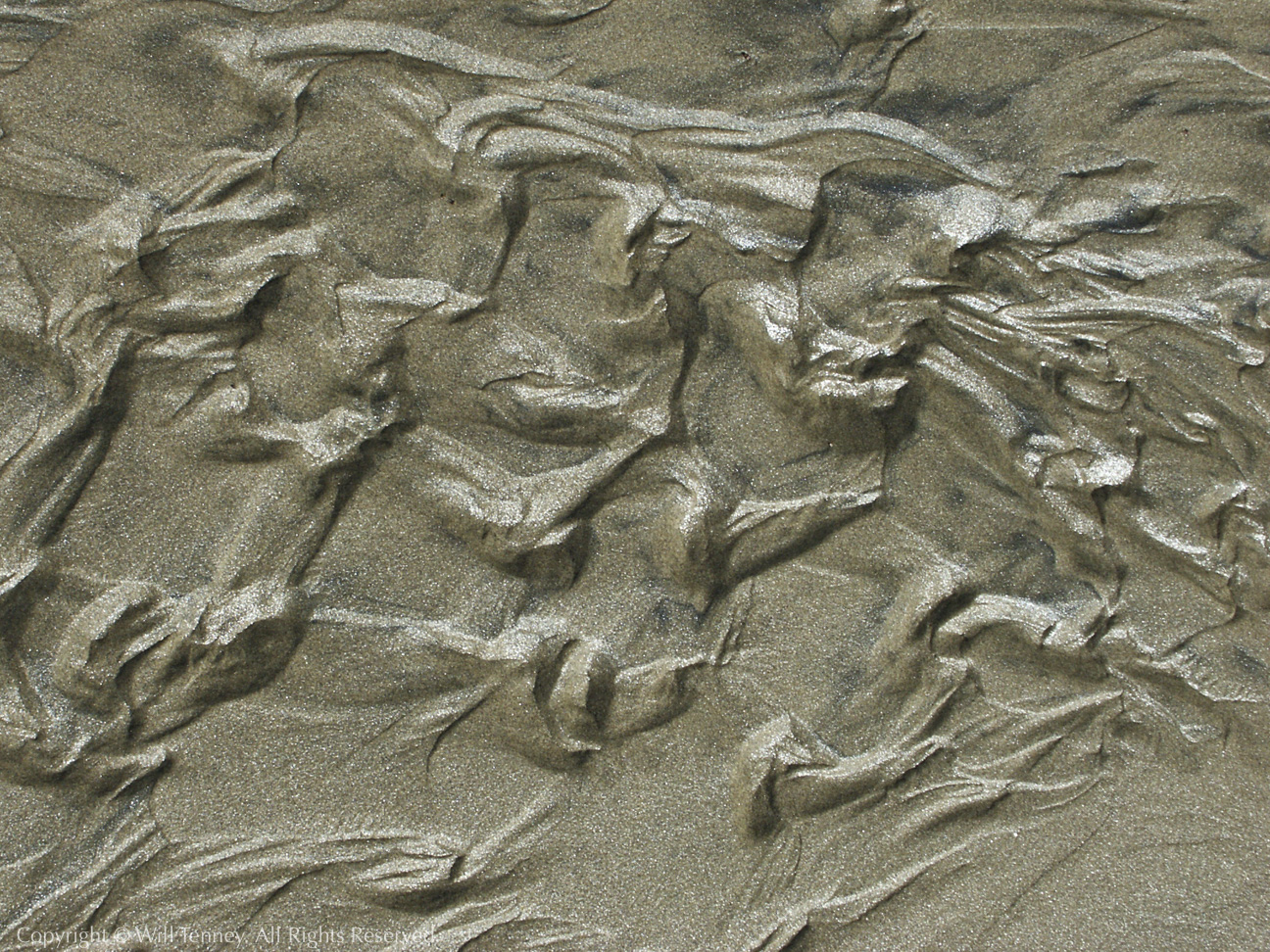 Sand Riffles: Photograph by Will Tenney
