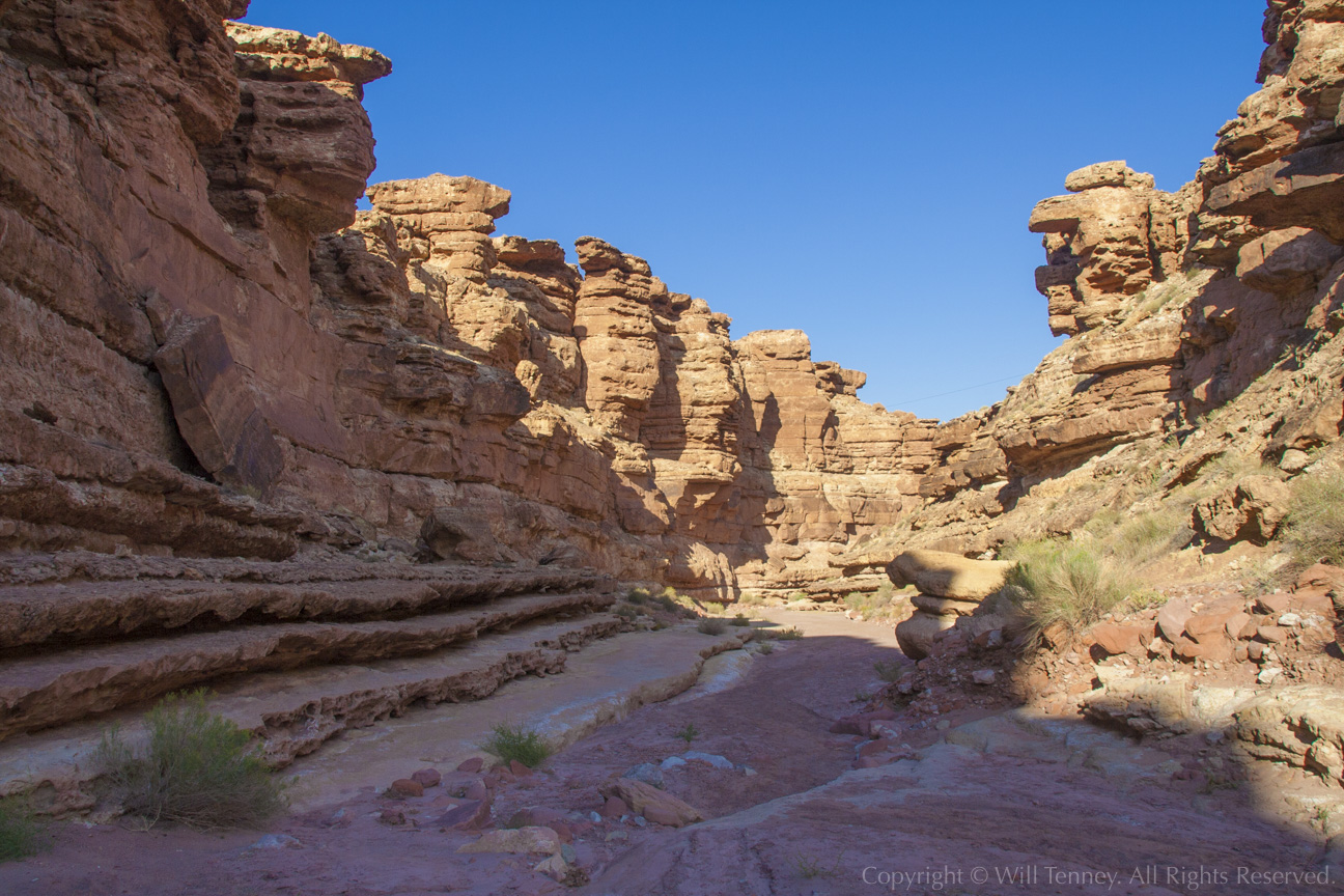 Cathedral Wash: Photograph by Will Tenney