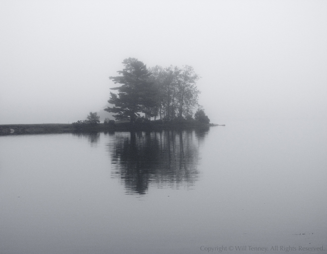 Foggy Peninsula: Photograph by Will Tenney