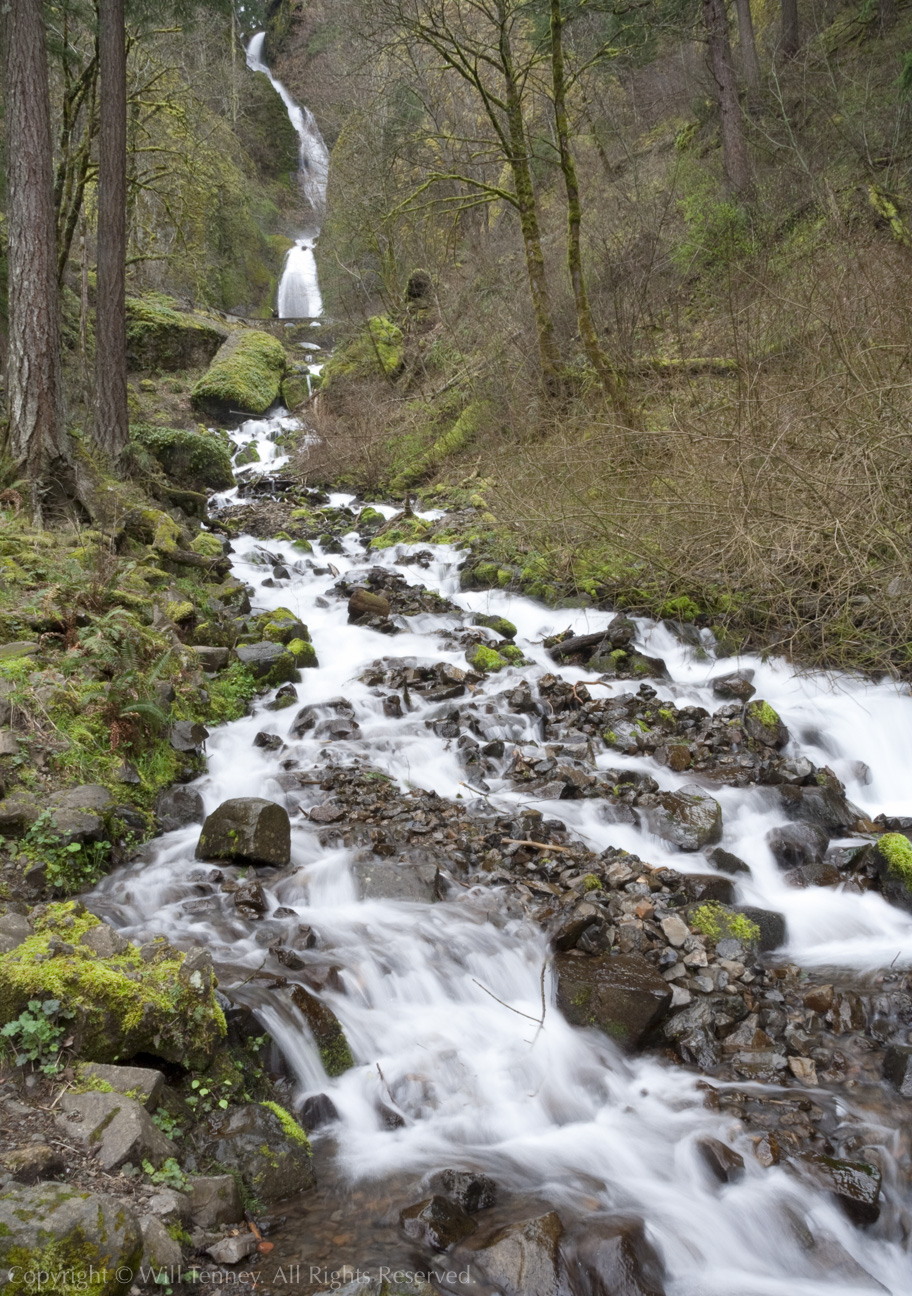 Wahkeena Falls: Photograph by Will Tenney