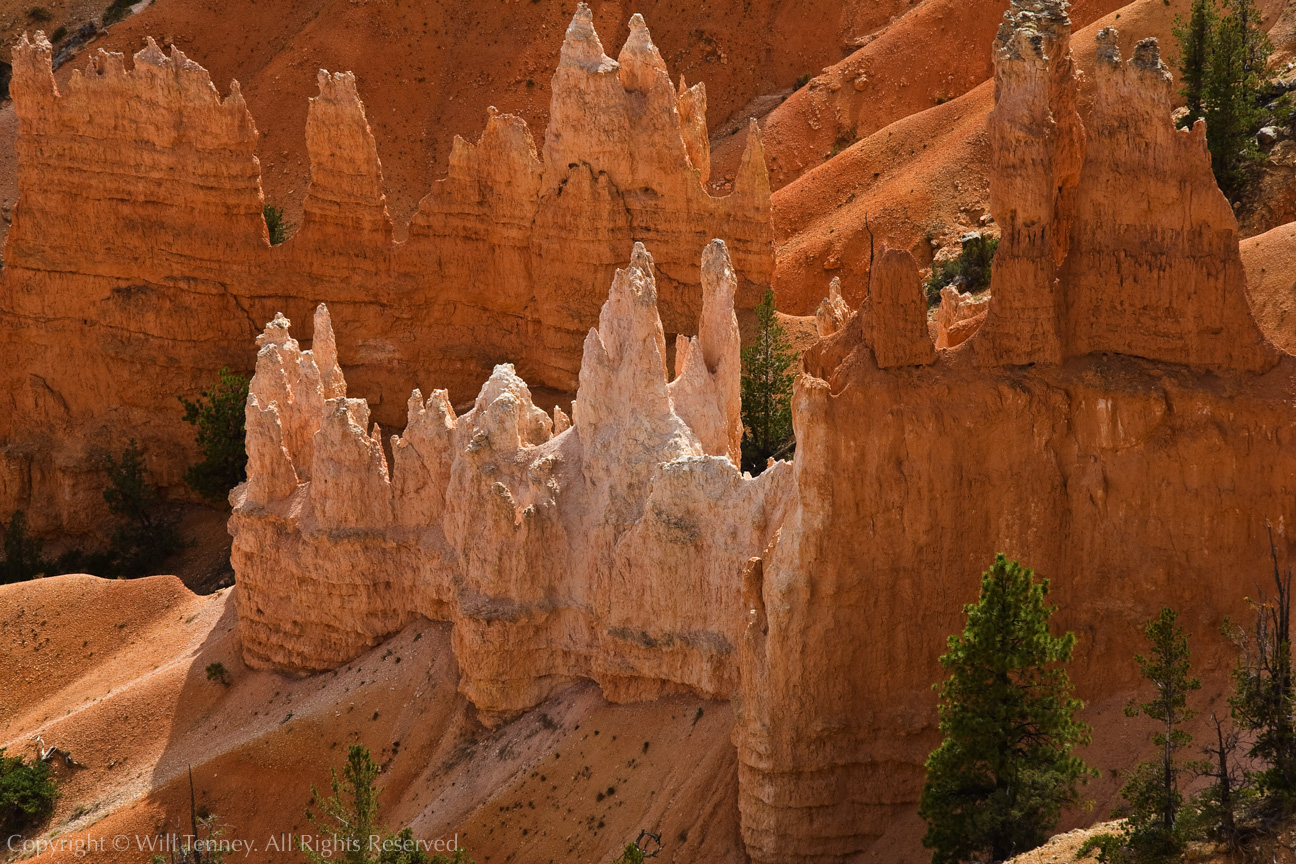 Bryce from Sunrise: Photograph by Will Tenney