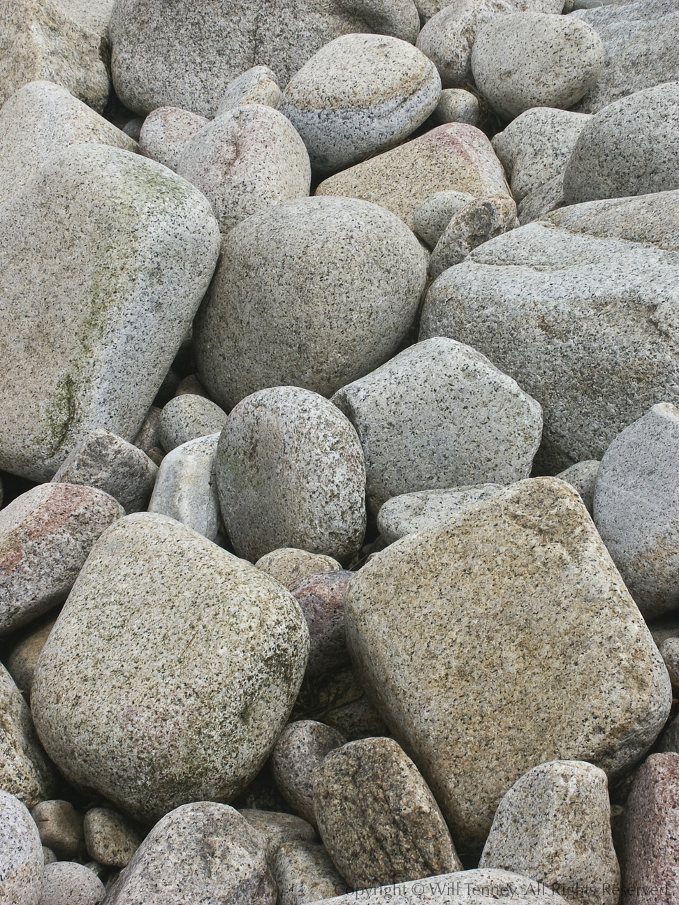 Rockport Cobbles: Photograph by Will Tenney