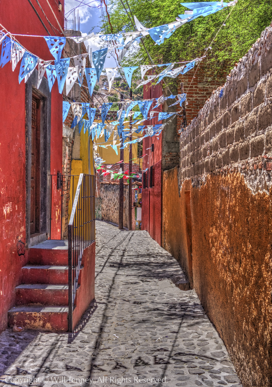 Festive Alley: Photograph by Will Tenney