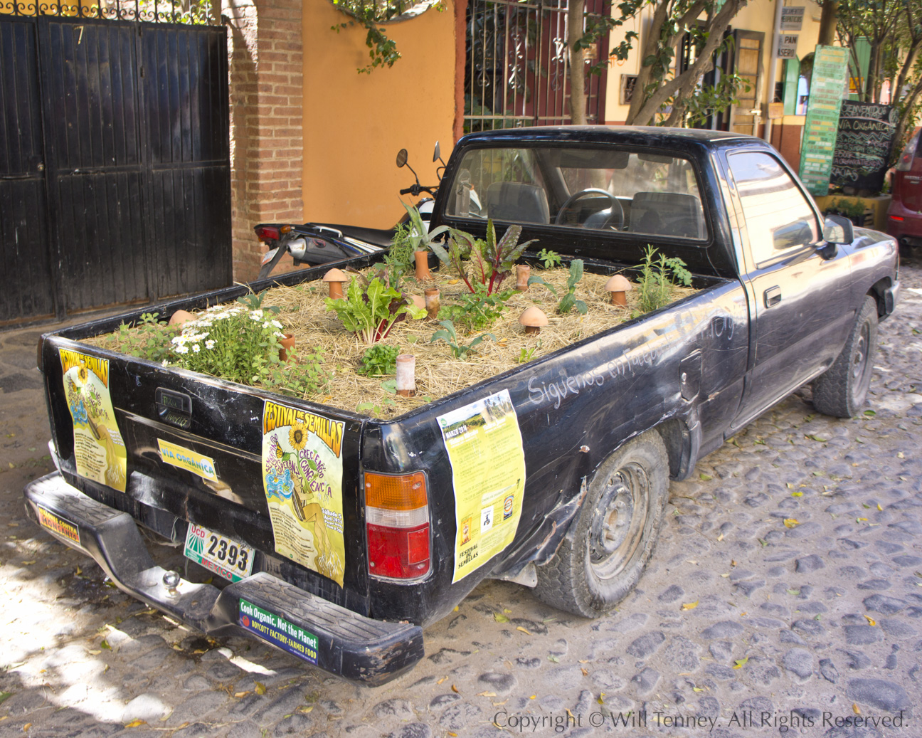 Truck Farm: Photograph by Will Tenney