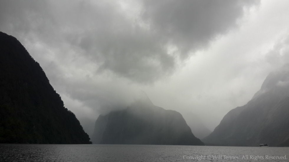 On Milford Sound: Photograph by Will Tenney