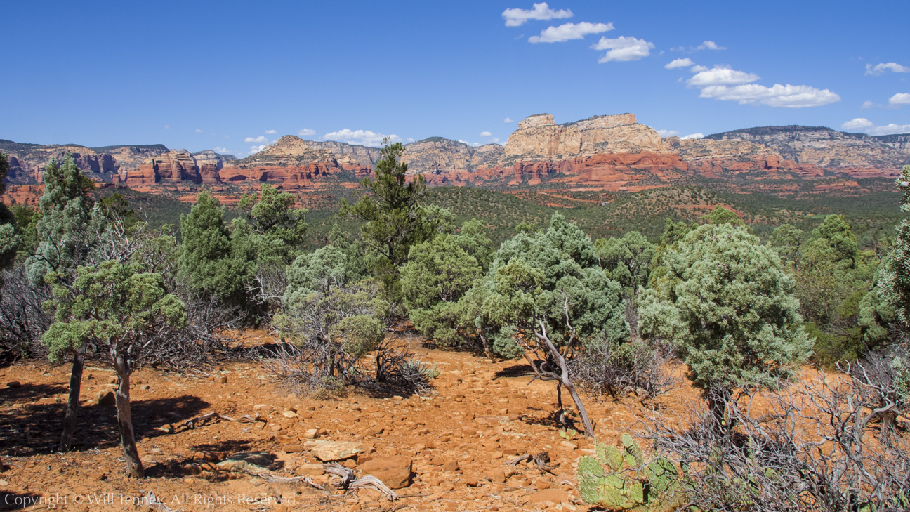 Sedona Red Rocks: Photograph by Will Tenney