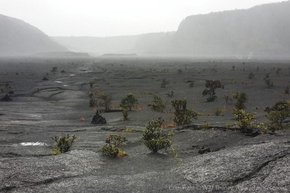 In Kilauea Iki Crater: Photograph by Will Tenney