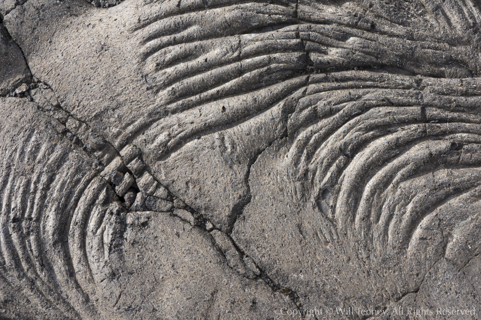 Pāhoehoe Wrinkles: Photograph by Will Tenney