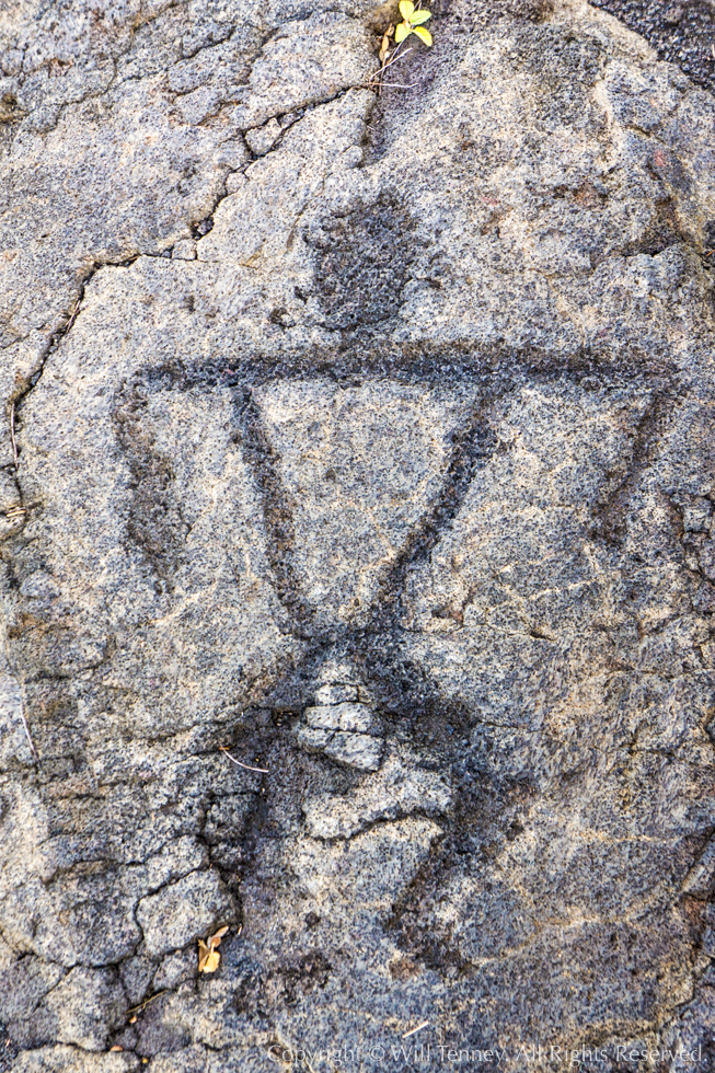 Pu‘u Loa Petroglyph: Photograph by Will Tenney
