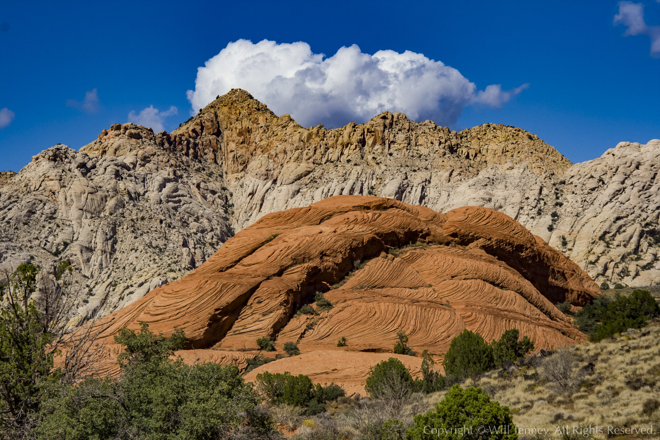Snow Canyon Mound: Photograph by Will Tenney