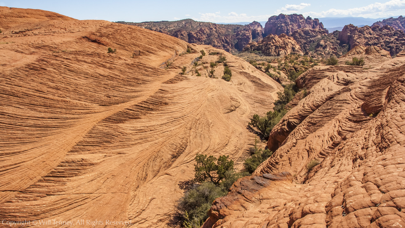 Snow Canyon Dunes: Photograph by Will Tenney