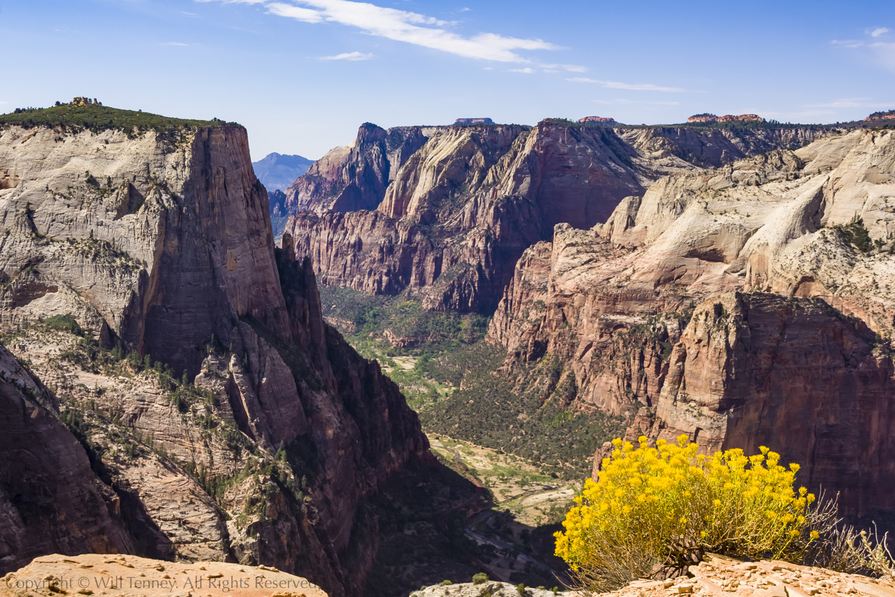 Zion Valley: Photograph by Will Tenney