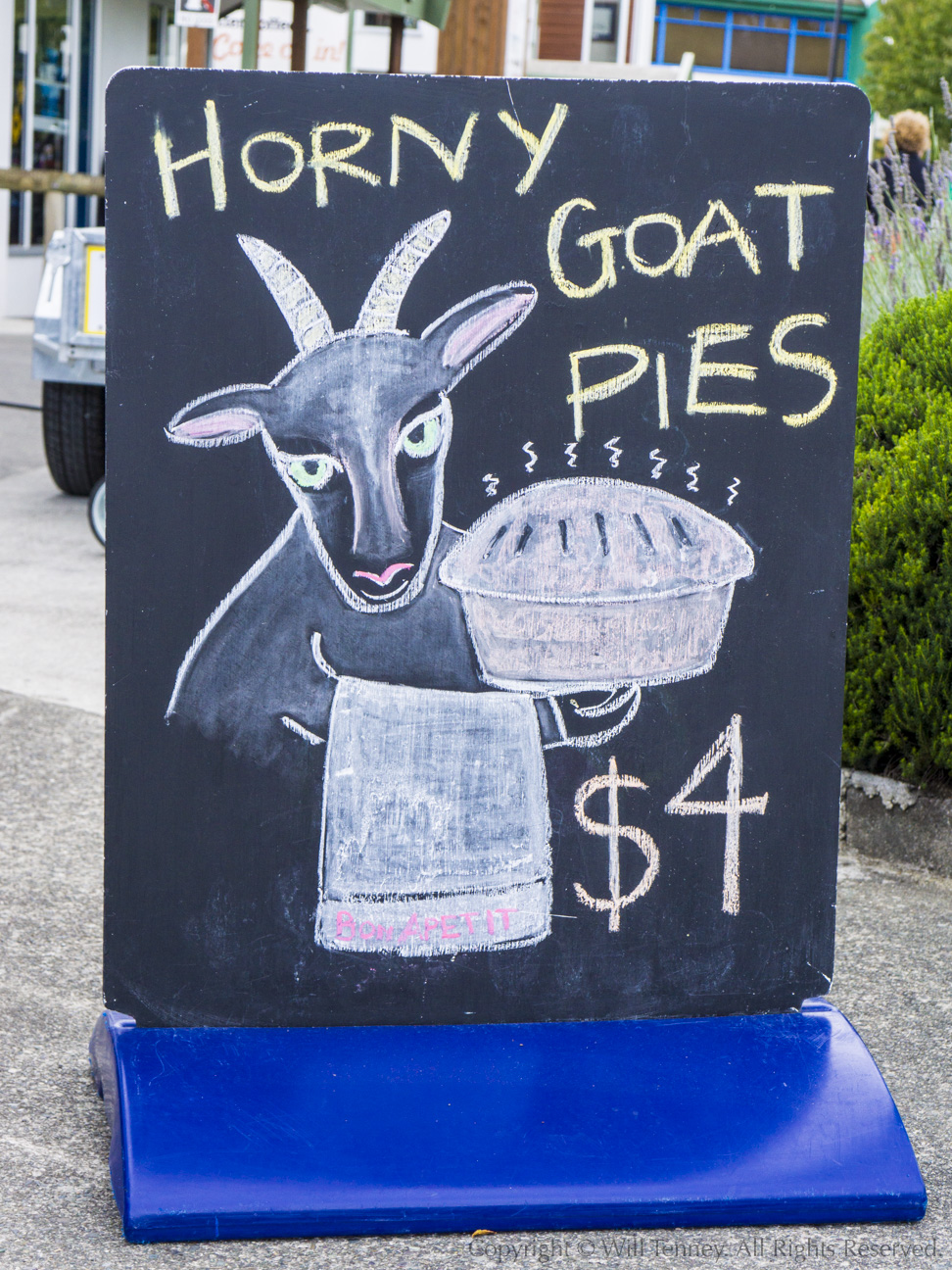 Horny Goat Pies: Photograph by Will Tenney